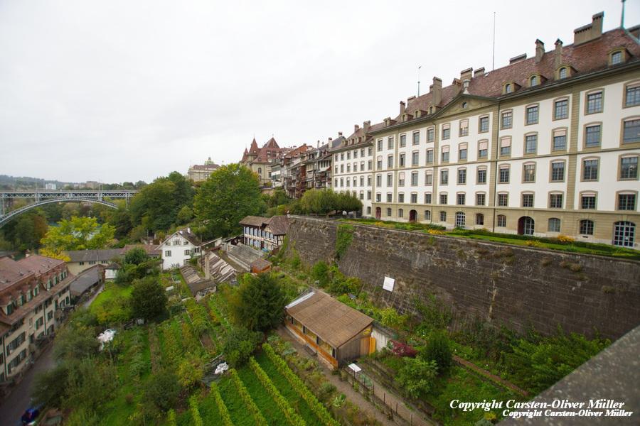 Volkswirtschaftsdirektion