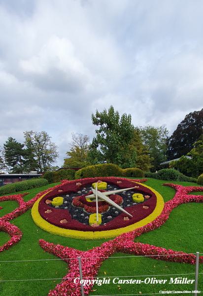 2024 10 03 14 25 38 CHE Vieille Ville 030