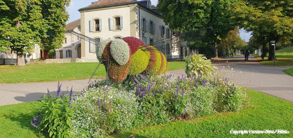 2024 10 03 17 32 43 CHE Cologny 050