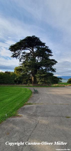 2024 10 03 17 33 16 CHE Eaux Vives 051