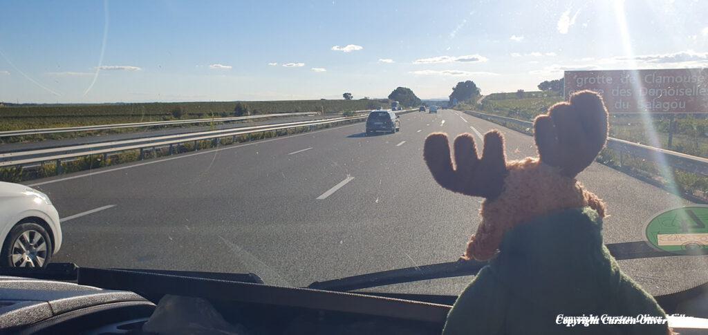 2024 10 04 17 29 16 FRA Pomérols 010