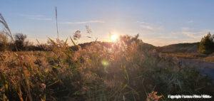 2024 10 04 18 51 52 FRA Gruissan 014