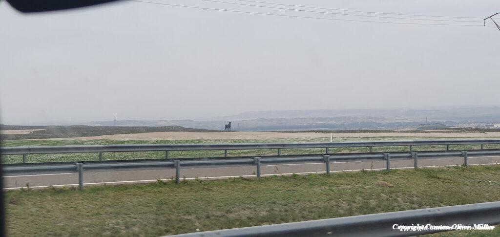 Ein Stier bei Pina De Ebro