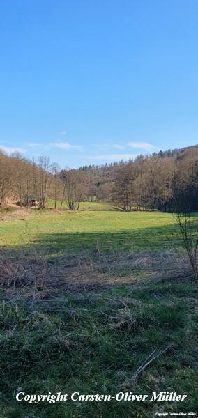 2025 03 29 14 58 56 DEU Effelsberg 013