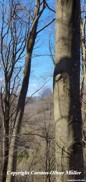 2025 03 29 15 26 19 DEU Binzenbach 014