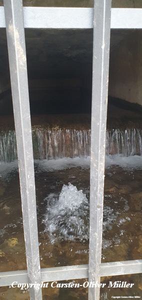 2025 03 30 11 42 45 DEU Holzmülheim 005