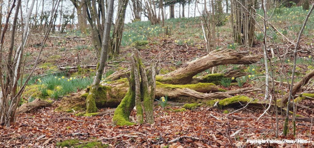 2025 03 30 13 15 33 DEU Alzen 008