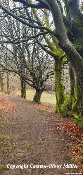 2025 03 30 13 17 44 DEU Alzen 014