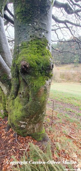 2025 03 30 13 18 42 DEU Alzen 016