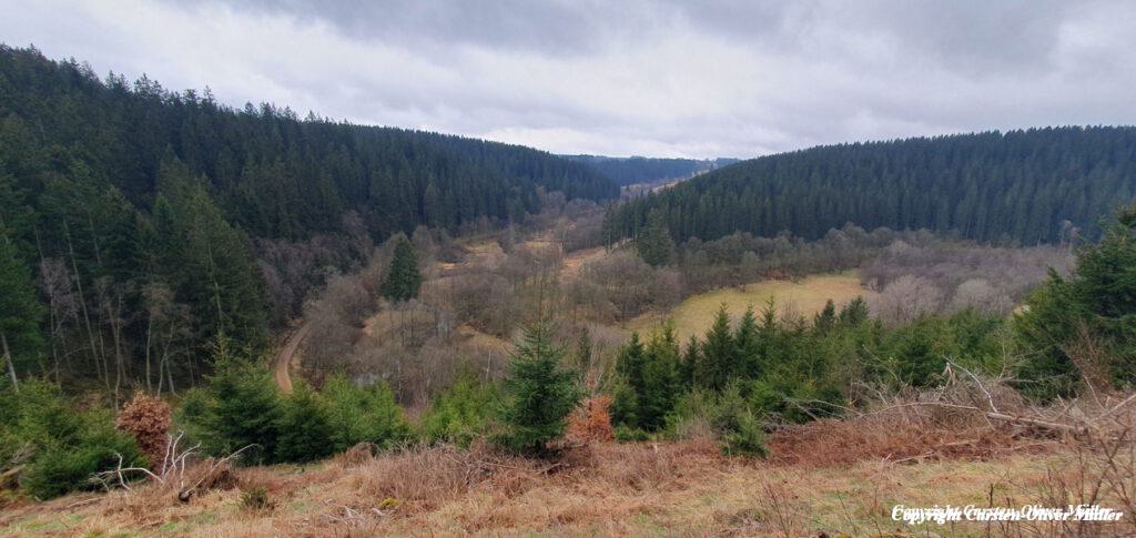 2025 03 30 13 43 44 DEU Alzen 018