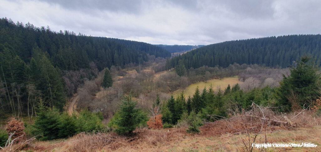 2025 03 30 13 44 03 DEU Alzen 020