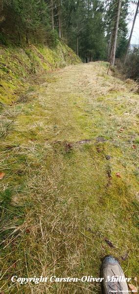 2025 03 30 13 49 29 DEU Alzen 021