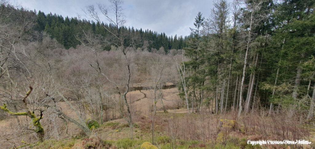 2025 03 30 13 55 03 DEU Alzen 022