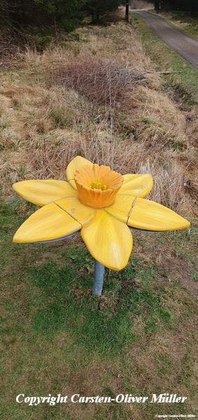 2025 03 30 14 16 41 DEU Alzen 024