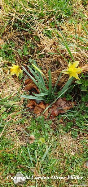 2025 03 30 14 26 03 DEU Alzen 026