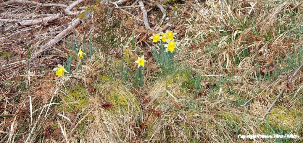 2025 03 30 14 30 23 DEU Alzen 028