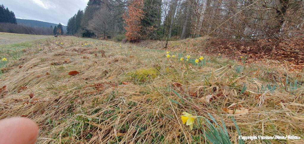 2025 03 30 14 31 20 DEU Alzen 029