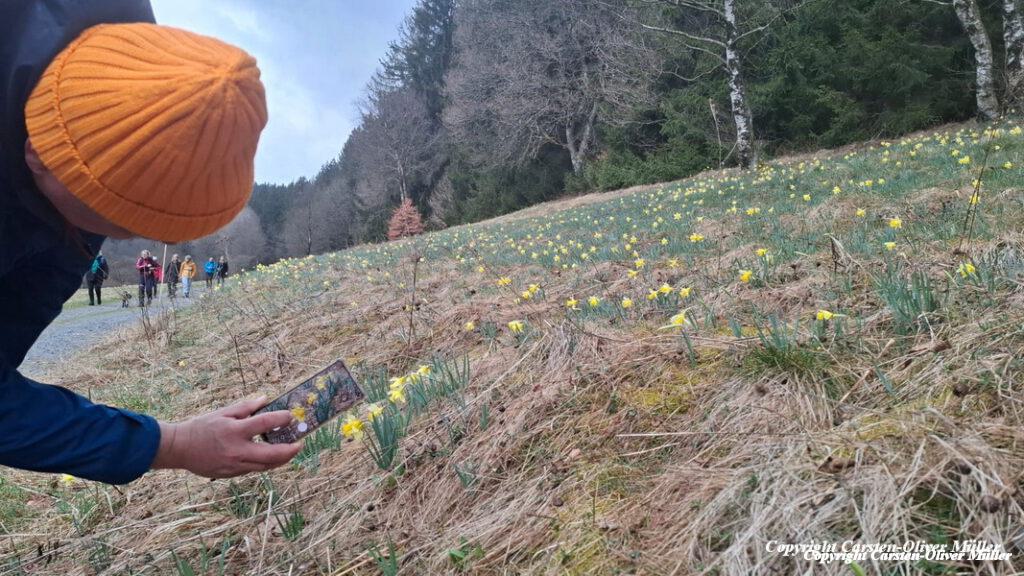 2025 03 30 14 31 42 DEU Alzen 061