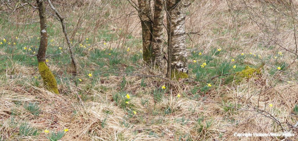 2025 03 30 14 36 25 DEU Alzen 030