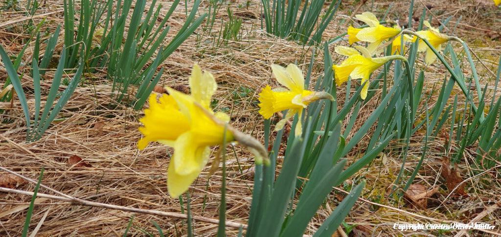 2025 03 30 14 37 45 DEU Alzen 034