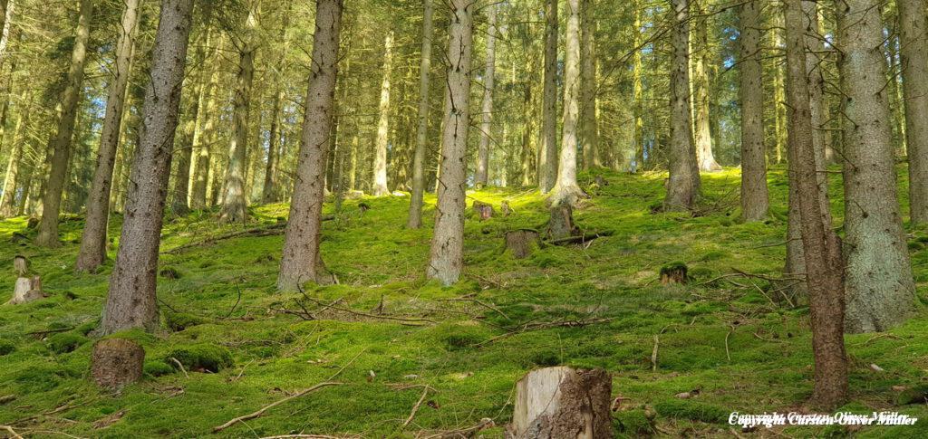 2025 03 30 14 53 16 DEU Alzen 038