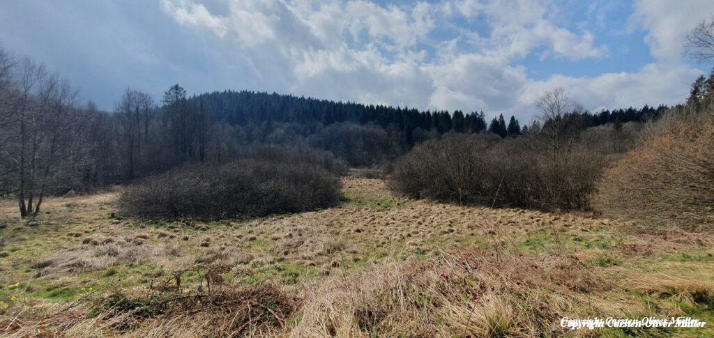 2025 03 30 14 53 26 DEU Alzen 039