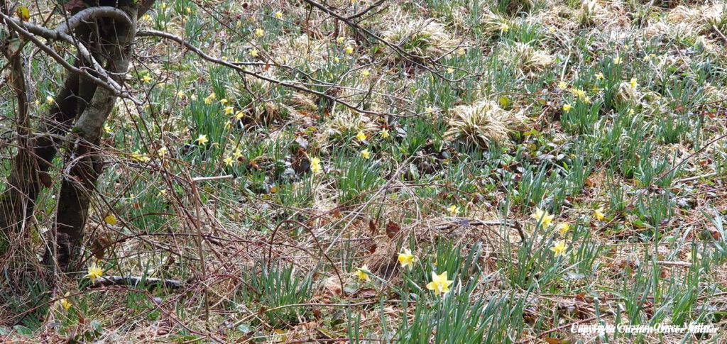 2025 03 30 14 54 40 DEU Alzen 040