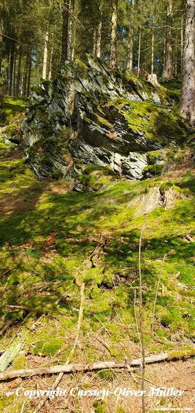 2025 03 30 14 57 52 DEU Alzen 044