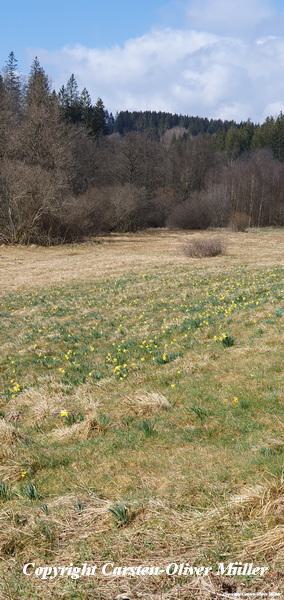 2025 03 30 14 59 39 DEU Alzen 045