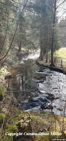 2025 03 30 15 38 42 DEU Alzen 050