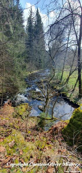 2025 03 30 15 43 25 DEU Alzen 055