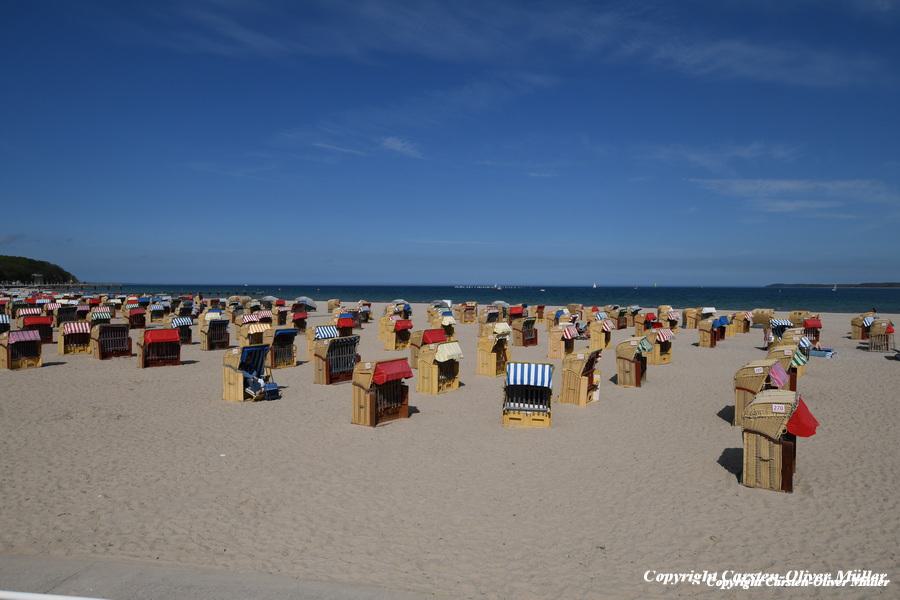 2025 04 30 14 19 39 DEU Travemünde Pötenitz 190