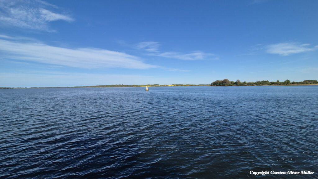 20250430 1717178878703121138012697.jpg